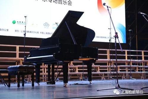 国产上海钢琴视频  第1张