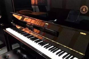 国产上海钢琴视频  第2张