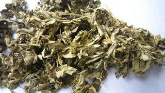 艾草视频国产片,国产片中的传统与现代交融  第2张