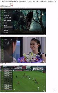 国产男女大片推荐视频播放器,畅享视听盛宴，尽在视频播放器