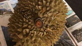 国产榴莲翻车了吗图片视频,一场视觉与味觉的碰撞  第2张