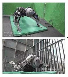 国产蝗虫仿生机器人视频,昆虫灵感下的智能创新之旅