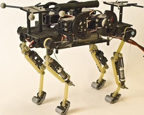 国产蝗虫仿生机器人视频,昆虫灵感下的智能创新之旅